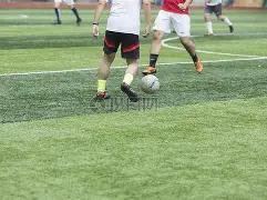 梭鱼湾球场,彩排盛大颁,奖盛典,PP电子,PP电子入口,PP电子官网,PP电子官方入口,PP电子官方网址