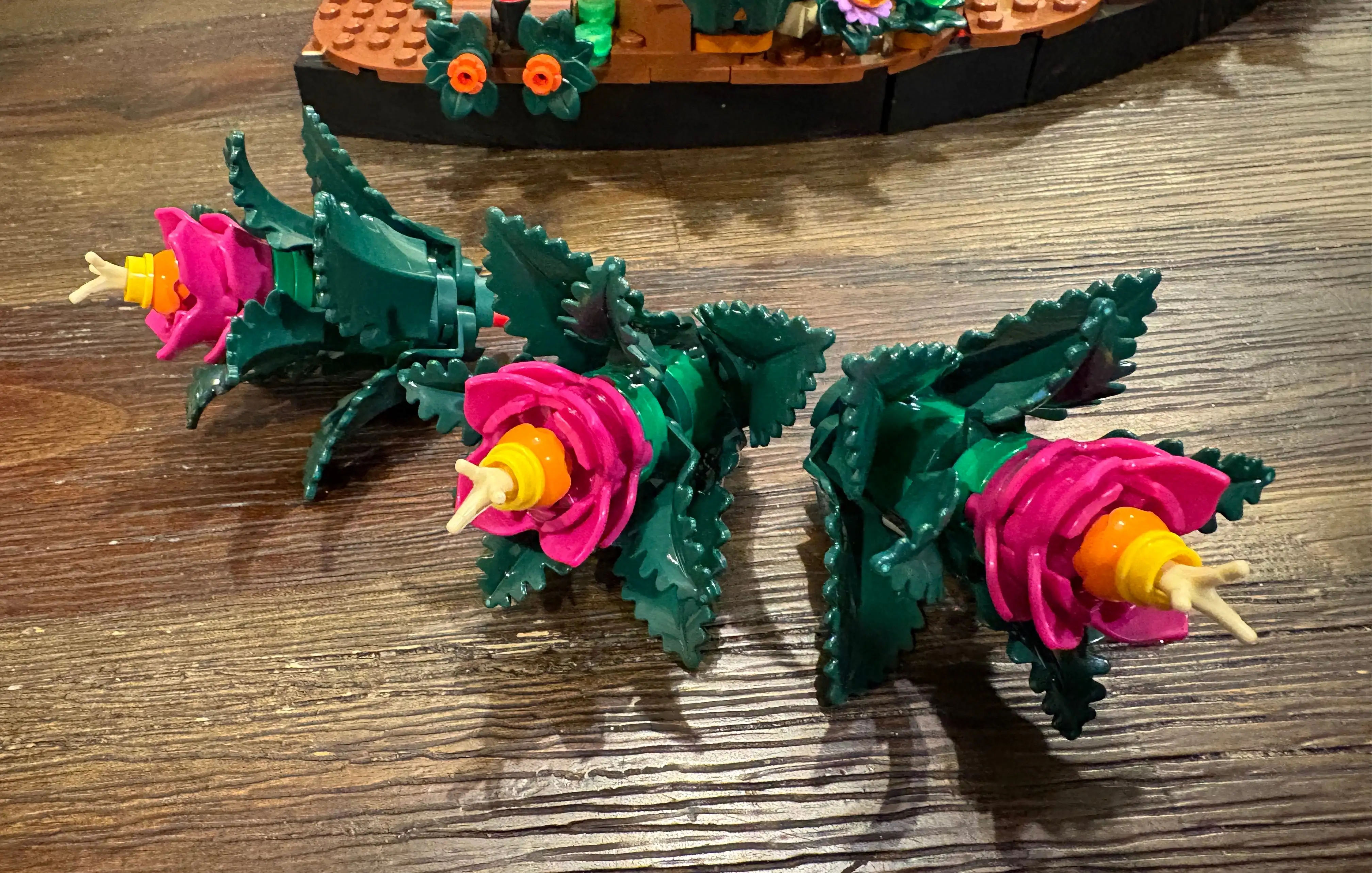 瓜迪奥拉赛,后怒视镜头,对吉马良斯,PP电子,PP电子入口,PP电子官网,PP电子官方入口,PP电子官方网址