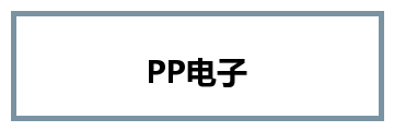 PP电子