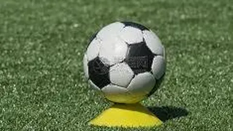 PP电子 产品 040651 j4z