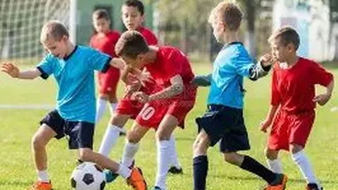 PP电子 产品 040715 ivi